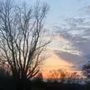 brooklynngordon5 - @brooklynngordon5 - TikTok