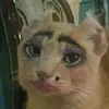 Brooklyn Greene - @brooklyn.kay47 - TikTok