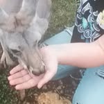 Brooklyn Gregory - @gregory_brooklyn - Instagram