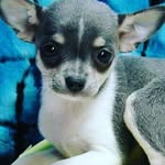 brooklyncthacker - @brooklyncthacker - Instagram
