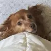 brooklynhacker31 - @brooklynhacker31 - TikTok