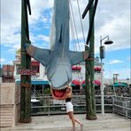 Brooklyn Hanson - Facebook