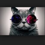 Like-a-boss - @brooklynmay - Instagram