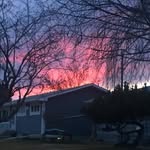 Brooklyn Mccauley - @brooklynmccauley776 - Instagram