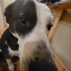 Brooklynn Parker - Facebook
