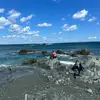 Brooklyn Payne - @brooklyn.payne7 - TikTok
