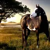 Blair riverstone - @brooklyn.prescott00 - TikTok