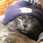 Brooklyn Sharp - @bsharp1246 - Instagram