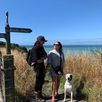 Brooklyn Sharpei - @brooklynsharpei - Instagram