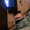 brooklyntate1213 - @brooklyntate121 - TikTok