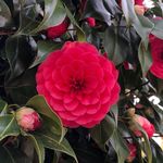Brooklyn Terry - @terrykaelber - Instagram