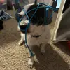 Brooklyn Thomas - @brooklyn.thomas6 - TikTok