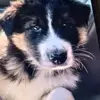 Brooklyn Tolbert - @brooklyn.tolbert8 - TikTok