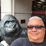 Anthony Torres - @brooklyntorres96 - Instagram