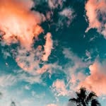 Brooklyn Troutner - @brooklyn.troutner.9 - Instagram