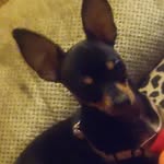 Brooklyn Troutner - @brooklyn.troutner - Instagram
