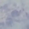 user3135474490868 - @brooklynn_trout335fp - TikTok