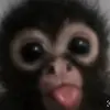 Brooklyn Vasquez - @brooklyn.vasquez5 - TikTok