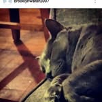 Brooklyn Walter - @brooklynwalter2007 - Instagram