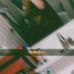 Brooklyn Ware - Facebook