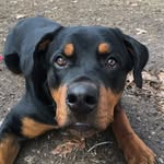 Brooklyn Weathers - @brooklynthatrottie - Instagram