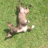 Brooklyn_weaver❤️🐾🐾 - @brooklyn_weaver252 - TikTok