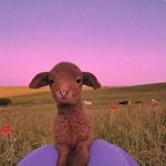 Hannah Brooklyn Webb - @brooklynwebb3 - Instagram