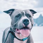 Brooklyn Junqueira Weiss - @its.the.brooklyn.way - Instagram