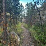 Brooklyn Weisser - @brooklynweisser - Instagram