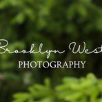 Brooklyn West Photography - Facebook
