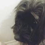 Brooklyn Whitehead - @whitehead_brooklyn - Instagram