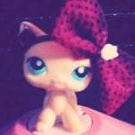 Brooklyn Winston - @brooke_w_lps - Instagram