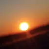 wolfe15982 - @brooklyn.wolf - TikTok
