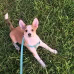Brooklynn Cross - Facebook