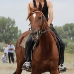 brooklynn davidson - @brooklynn3686yr - Instagram