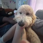 Brooklynn Davidson - @brooke_13304 - Instagram