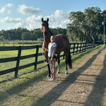 Brooklynn Hall - @brooklynn.eq12 - Instagram