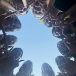 Brooklynn Holman - @_brooklynn_holman_ - Instagram