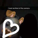 Brooklynn Johnston - @gacha_edit.gurl - Instagram