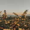 brooklynn - @brooklynn._.martinez - TikTok