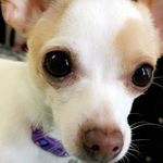 Brooklynn Thomas - Scherf - @scherfbrooklynnthomas - Instagram