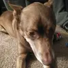 Brooklynn Williams - @me554443333 - TikTok
