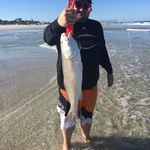 Brooks  Armstrong - @brooksarmstrong - Instagram