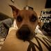 Brooks Armstrong - Facebook