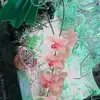 Trương Xuân Tân - @brooksballard - TikTok