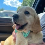 Brooks Oakley Barlow - @brooksy_and_oakley - Instagram