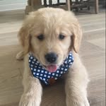 Brooks Bell - @brooksbell21 - Instagram