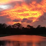 Brooks Bennett - @brooks.bennett.96 - Instagram