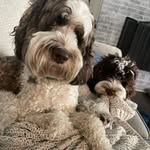 Boone & Brooks Scercy - @boone_brooks_scercy - Instagram
