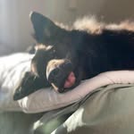 Boone Brooks - @boonebrooks1 - Instagram